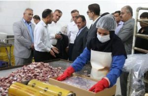 ۳۰ فقره جواز تأسیس صنعتی در شهرستان دشتستان صادر شد